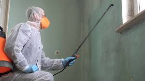 Asbestos and Lead Testing During Mold Inspection in Oakdale, CA